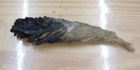 DSCF2811.jpg