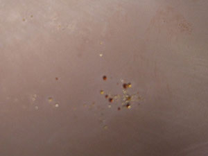 DSCF3333.jpg