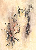 �ؐ�-1